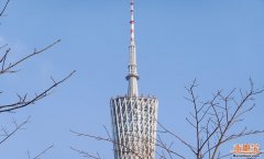 <strong>请网友自行核实相</strong>